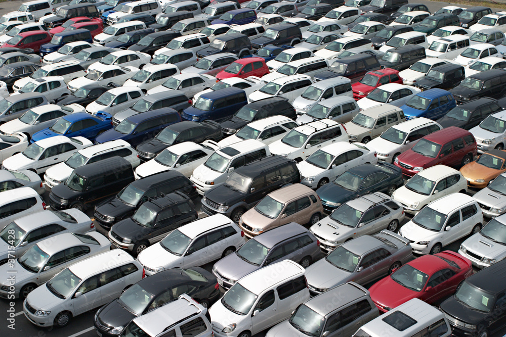 Fototapeta premium At car auction
