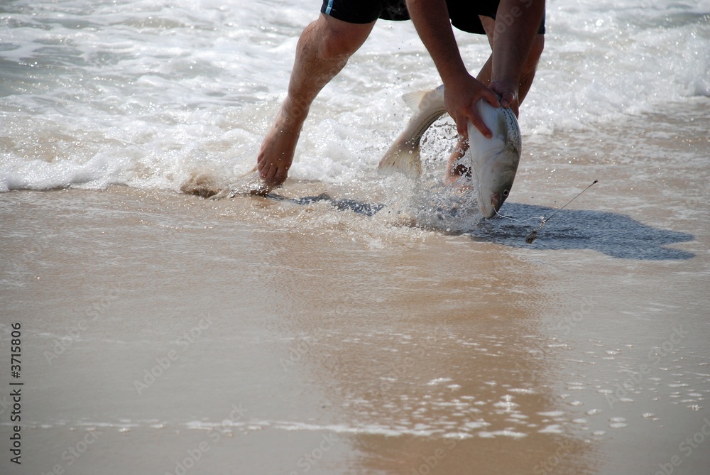 Hand Catching A Fish On The Beach