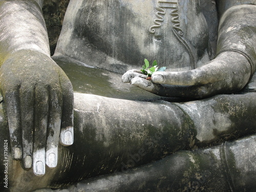 Buddha's lap