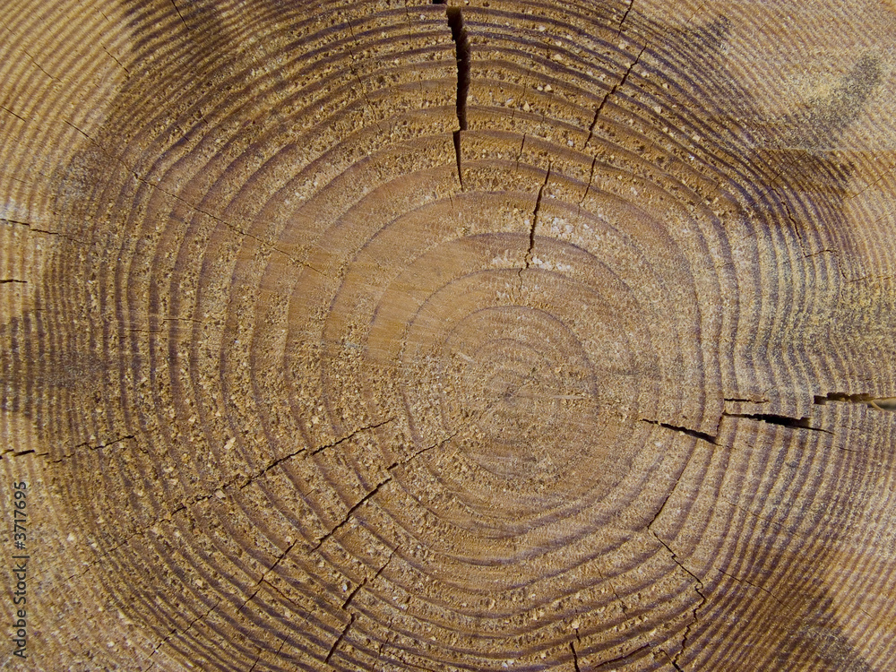 Timber tezture