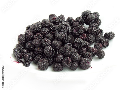 black raspberries