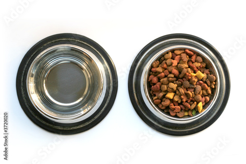 pet food isolated on white background
