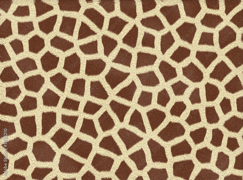 Pelo di giraffa Pelo di giraffa