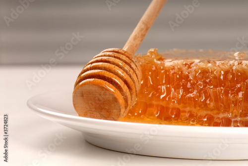 A honeycomb with a honey wand on a white plate