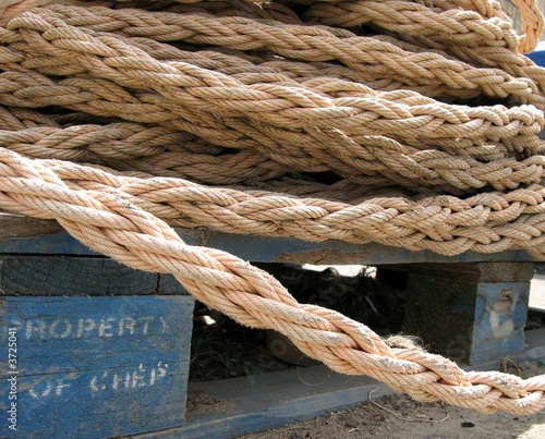 marine cord