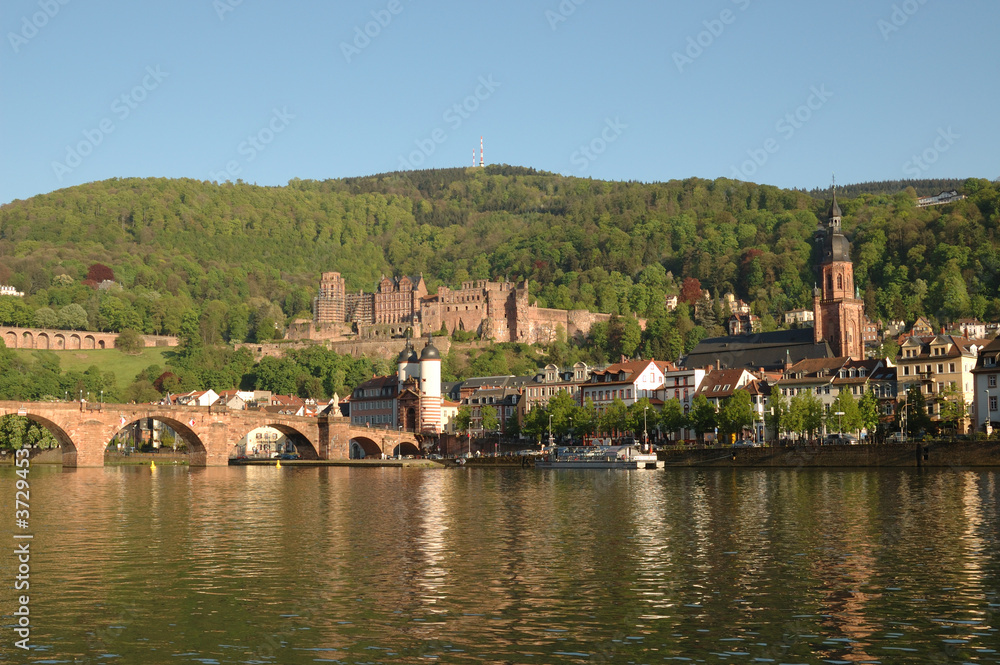 Heidelberg View from the River in Summer