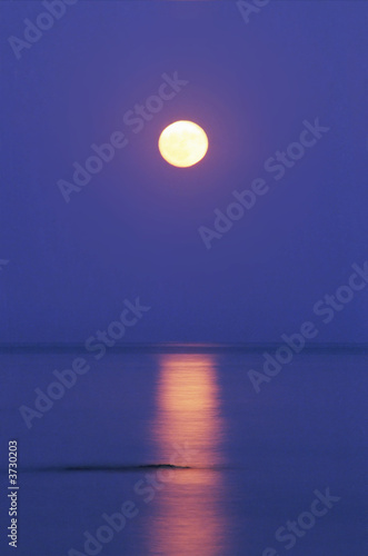 Fototapeta Naklejka Na Ścianę i Meble -  moon light on a water