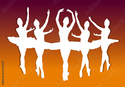 Ballerine danza classica