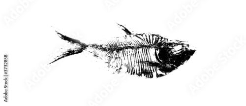 Fishbone