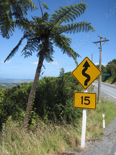 NZ Street
