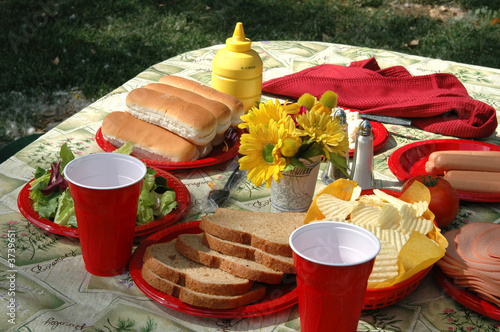 A picnic table in the park loadedf with food photo
