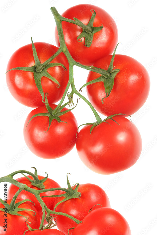 Red tomato fruit isolated on white background Red tomato fruit isolated on white background