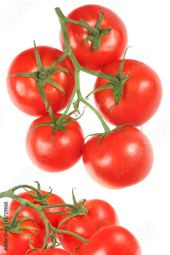 Red tomato fruit isolated on white background