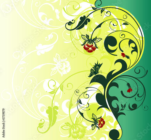 Flower background with butterfly, vector illustration