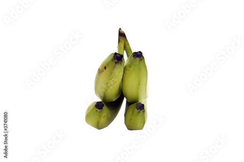 Bunch of bananas