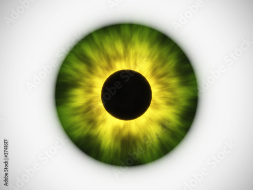 Photography green eye