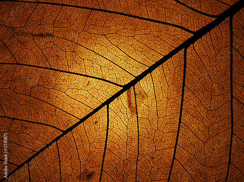 Der Mond ist aufgegangen