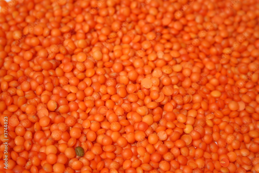 rote Linsen rote Linsen
