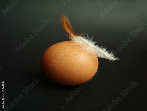 Egg with feather on black background photo