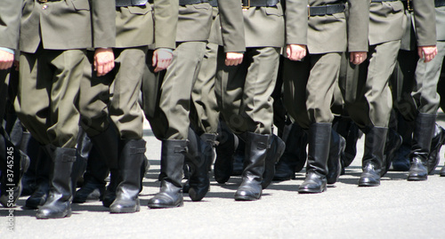 division of militarians  photo