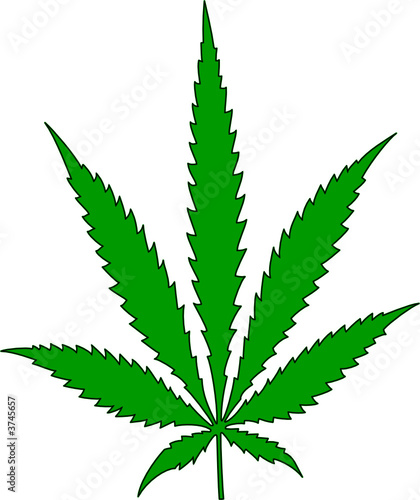 hanf blatt