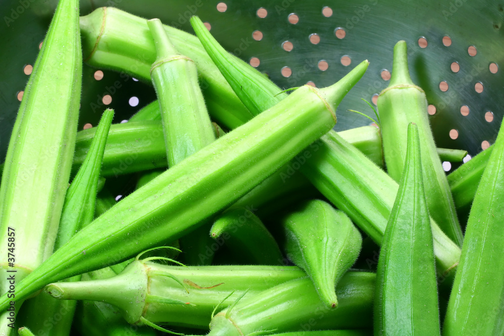 Summer Okra 