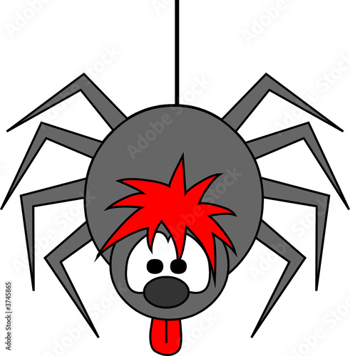 spinne