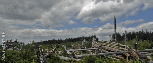 Tourismus im Schwarzwald