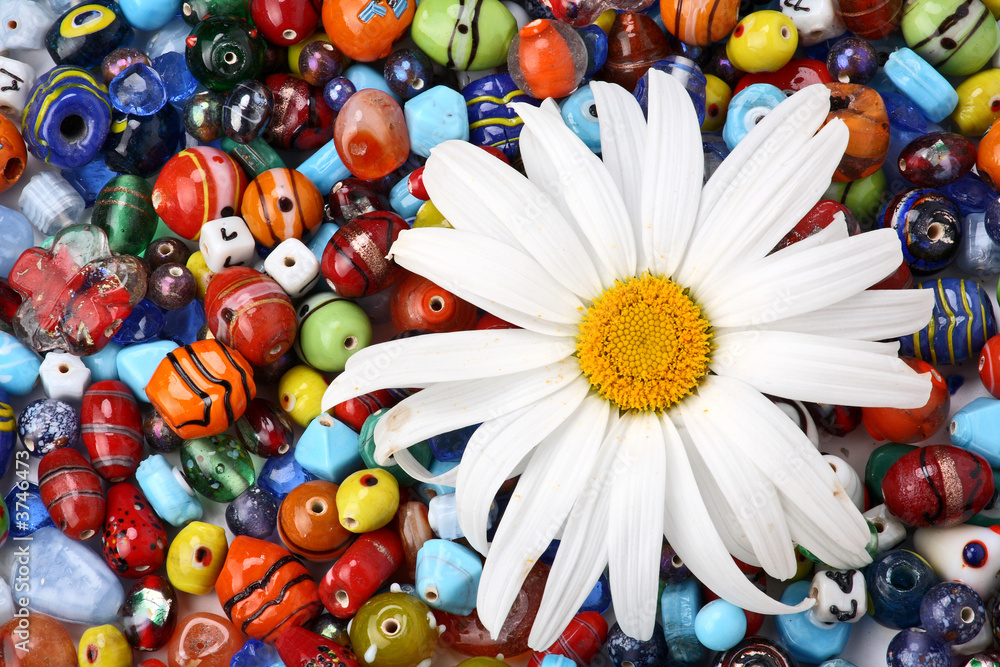 Colorful beads and daisy
