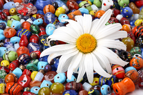  Colorful beads and daisy