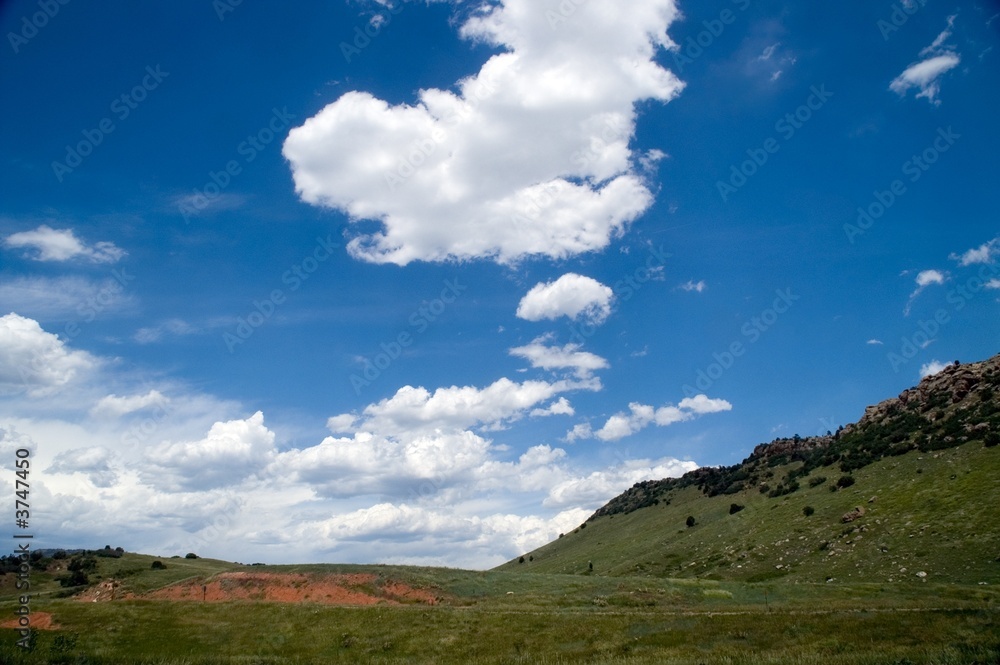 Colorado Summer Landscape