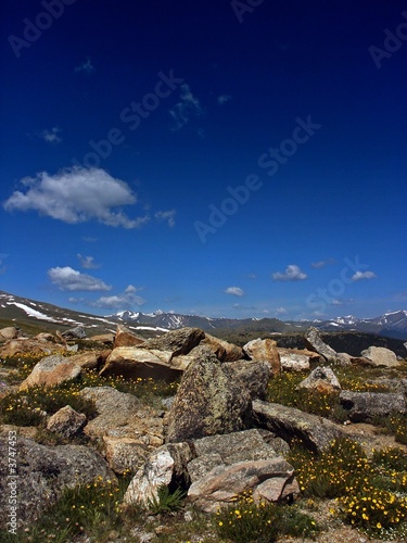 Colorado Wilderness Mountains