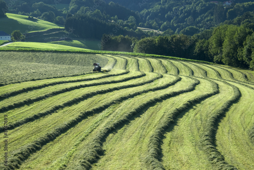 Naklejka premium Traktor bei Heuernte im Waldviertel - Niederösterreich
