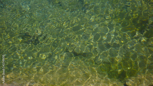 texture eau de lac moussu