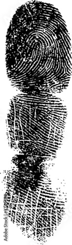 Full Fingerprint