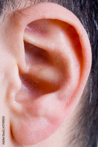 closeup of a man ear in color