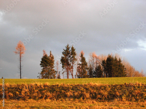 Landschaft photo