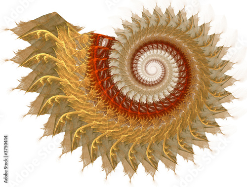 Ornamented classic spiral photo
