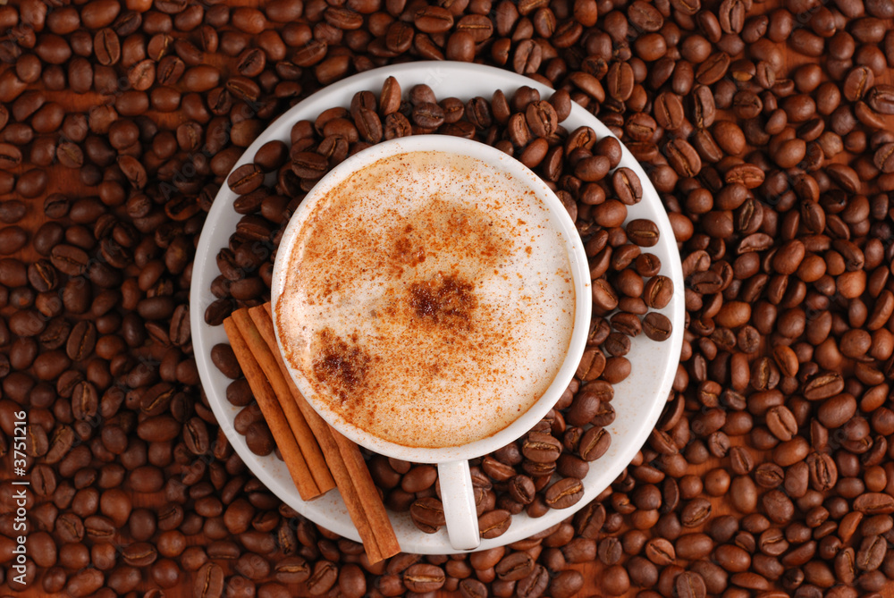 Cappuccino Cappuccino