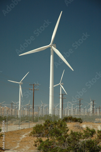 Desert Windmill