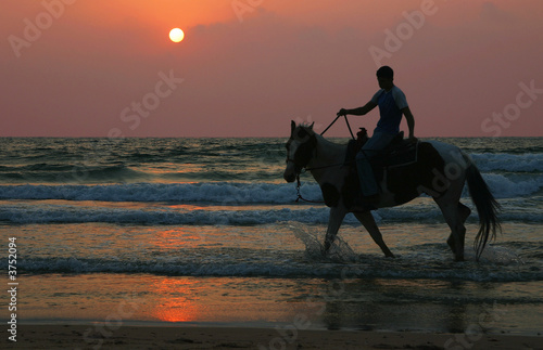 horse&beach