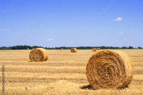 Stubble field with rolls of gathered straw and a bright blue sky