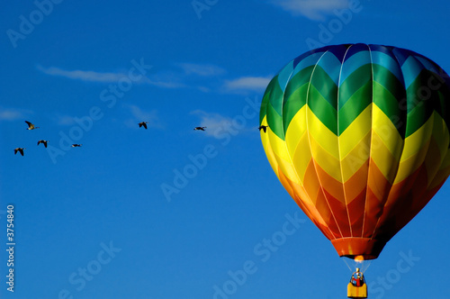 Hot air balloon and geese