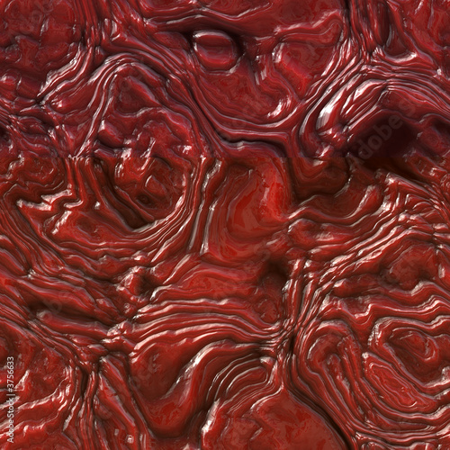 Tableau sur toile a large rendered image of entrails, guts or other  insides