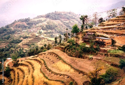 Braune Terrassenfelder in Nepal