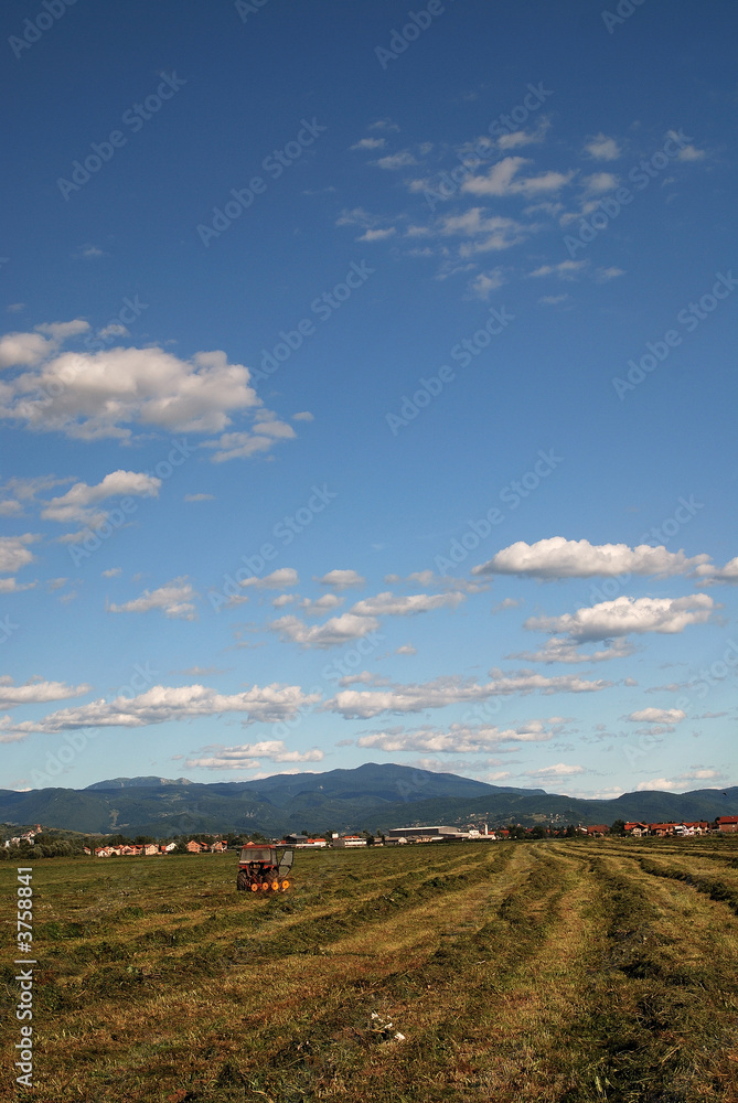 Fototapeta premium sunny day and dramatic sky...