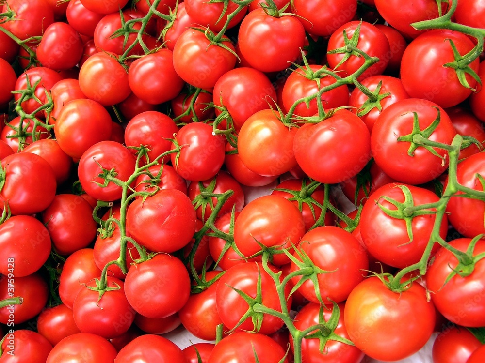 red cluster tomatoes