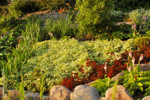 Tablou pe pânză Flower-bed life.