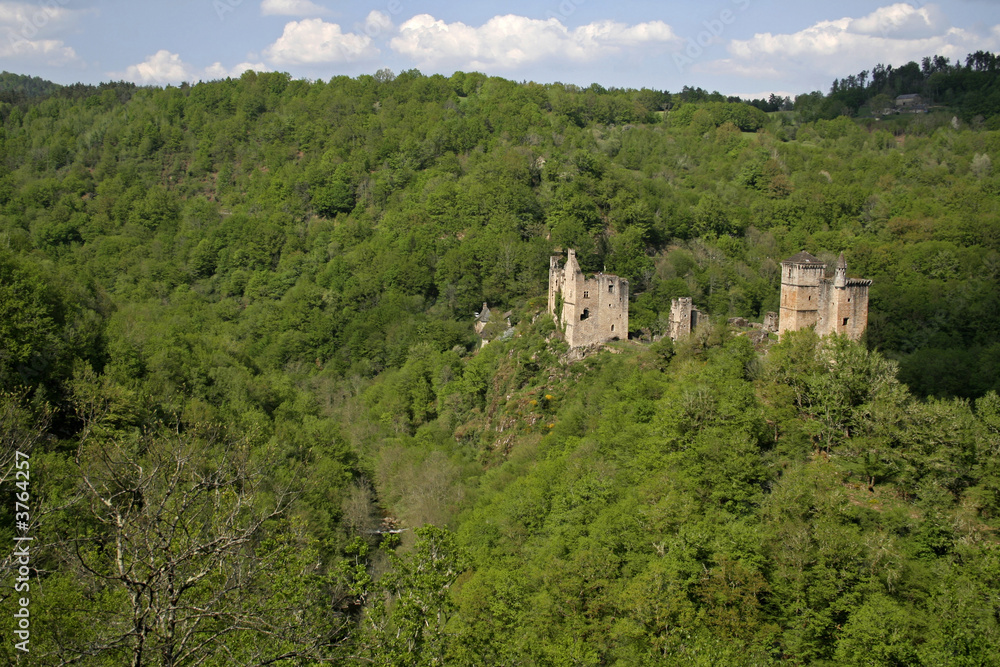 mediaval castle in forest france