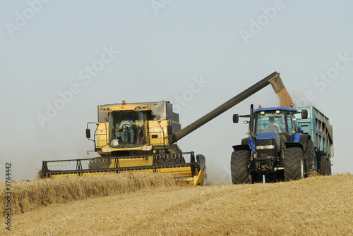 Fototapeta moisson du blé